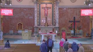 Palm Sunday of the Lord's Passion - 2026