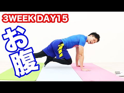 【やり方】マウンテンクライマー！おなかのコアから脂肪燃焼！ 3WEEK DAY15