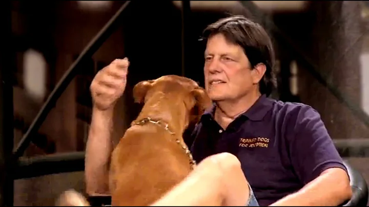 Dog Training with Roger Bortz - Dialogue with Doti and Dodge