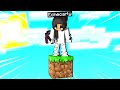 SOPRAVVIVO SU UN SOLO BLOCCO  - MINECRAFT ITA