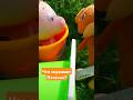 Что скрывает Пятачок? #shorts #собака #шутки #юмор #мультики #humor #утродоброе #август #смешные