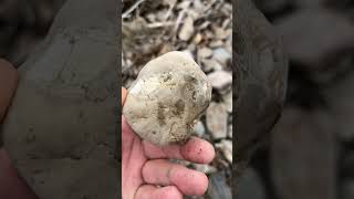 A Beautiful Piece of Banded Chert ! #crystals #mineralexploration #crystal #rockhounders #agate #gem