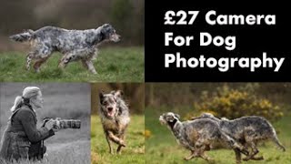 Dog Photography with a £27 Canon Camera by Rebecca Goutorbe 107 views 4 weeks ago 10 minutes, 7 seconds