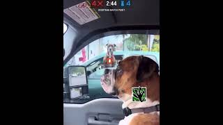 Me staring at bro Amaru into site on 4-4 match point... #r6s #rainbowsixsiege #r6 #rainbowsixsiege