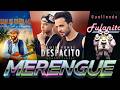 Despacito | Merengue y Merengueton 🎉  JUAN LUIS GUERRA, Luis Fonsi, Daddy Yankee, Fulanito, Y MAS