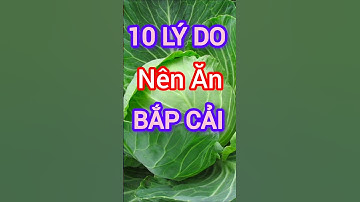 10 Lý Do Nên Ăn Bắp Cải Thường Xuyên #dinhduong #health #suckhoe