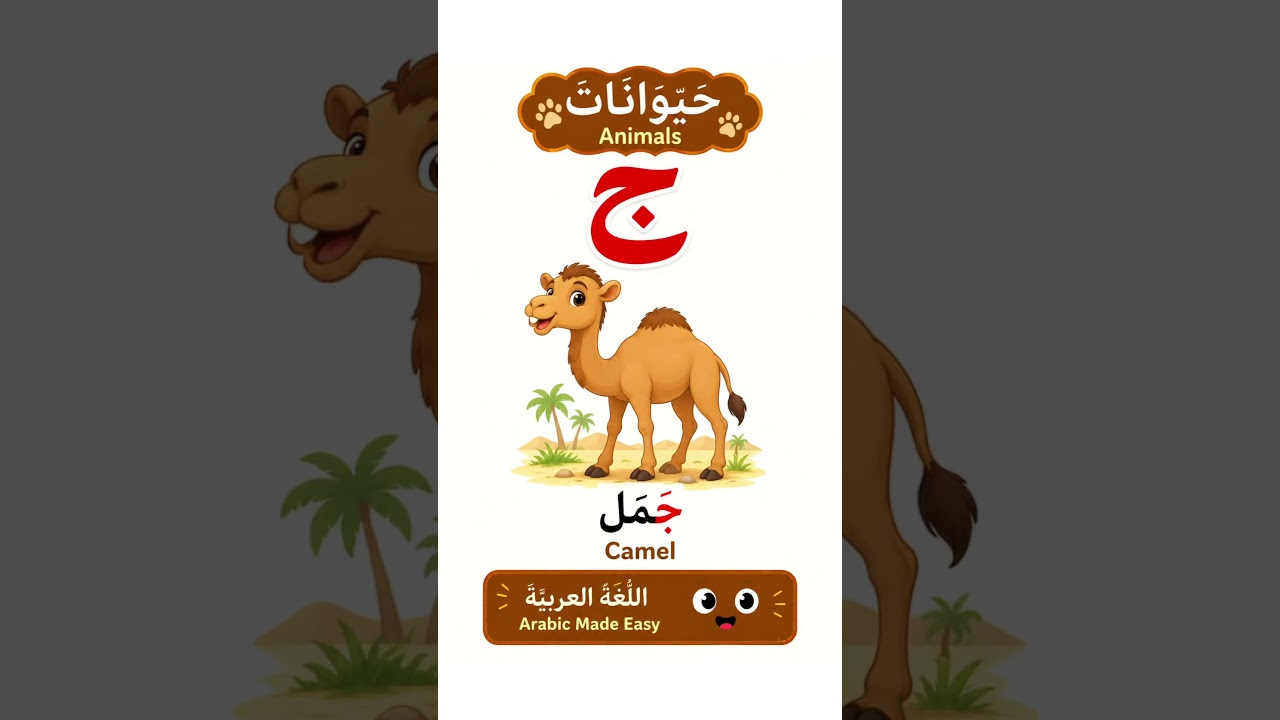 Learn Arabic with Animals 🐾 | ج — Jeem | Camel 🐪