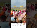 बालमा आणि भवानी 👑💯#bailgadasharyat #iphone #bullfarm #maharashtra #share #trending #bull #realshot
