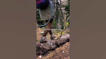 Share this with someone who needs to go hug a tree!🌲🫂 #shorts #treehugger #tree #hug #naturetherapy