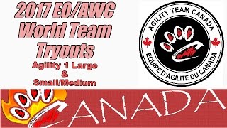 2017 EO/AWC Team Canada Tryouts Agility 1 Large, Small/Medium