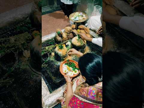 Shambo mahadev shikhar shingnapur #shambomahadev #shikharshingnapur #vlog #mahadevvlog #explore