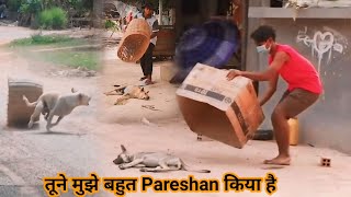 तूने मुझे बहुत परेशान किया है % dog funny prank video how to dog funny prank video