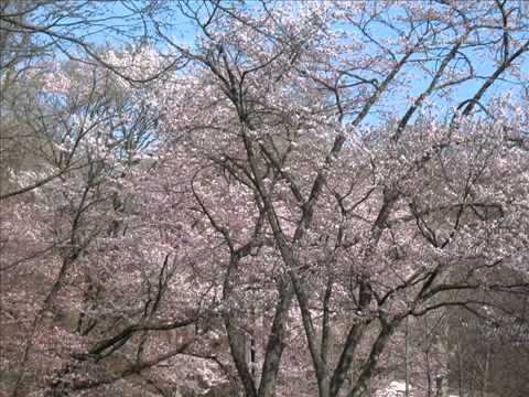 地獄のズバット(オリジナルカラオケ)歌詞詳細あり YouTube