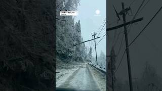 'Like a War Zone': Heavy Ice Storm Ravages Oregon Neighborhood