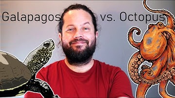 Multi-Objective Optimization with Octopus | Tiny House Challenge 02