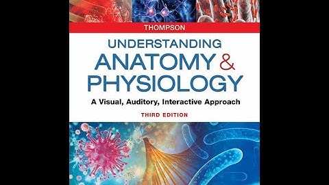 Chapter 21 Digestive System Lecture Part 2