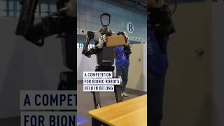 Beijing Holds A Compeion For Bionic Robots