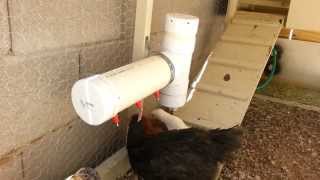 chicken coop basic urban