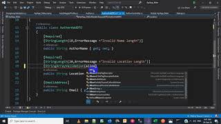 Asp Net Core - RESTFUL API - Custom Validation