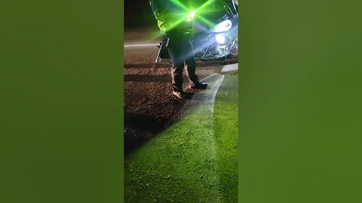 police stop 2
