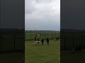 Plane landing at Manchester Airport