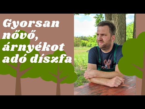 Videó: Gyorsan Növekvő Hamu