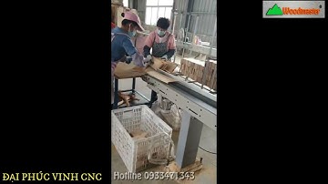 MÁY CẮT VẠCH PHẤN , CẮT KHUYẾT TẬT GỖ TỰ ĐỘNG CAO TỐC WOODMASTER