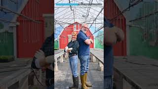 Quran Juz 2|| part 58|| #quran #qurantilawat #quranrecitation #qurantranslation #heavenlyrecitation