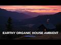 Relaxing Organic House Vibes for a Dreamy Escape