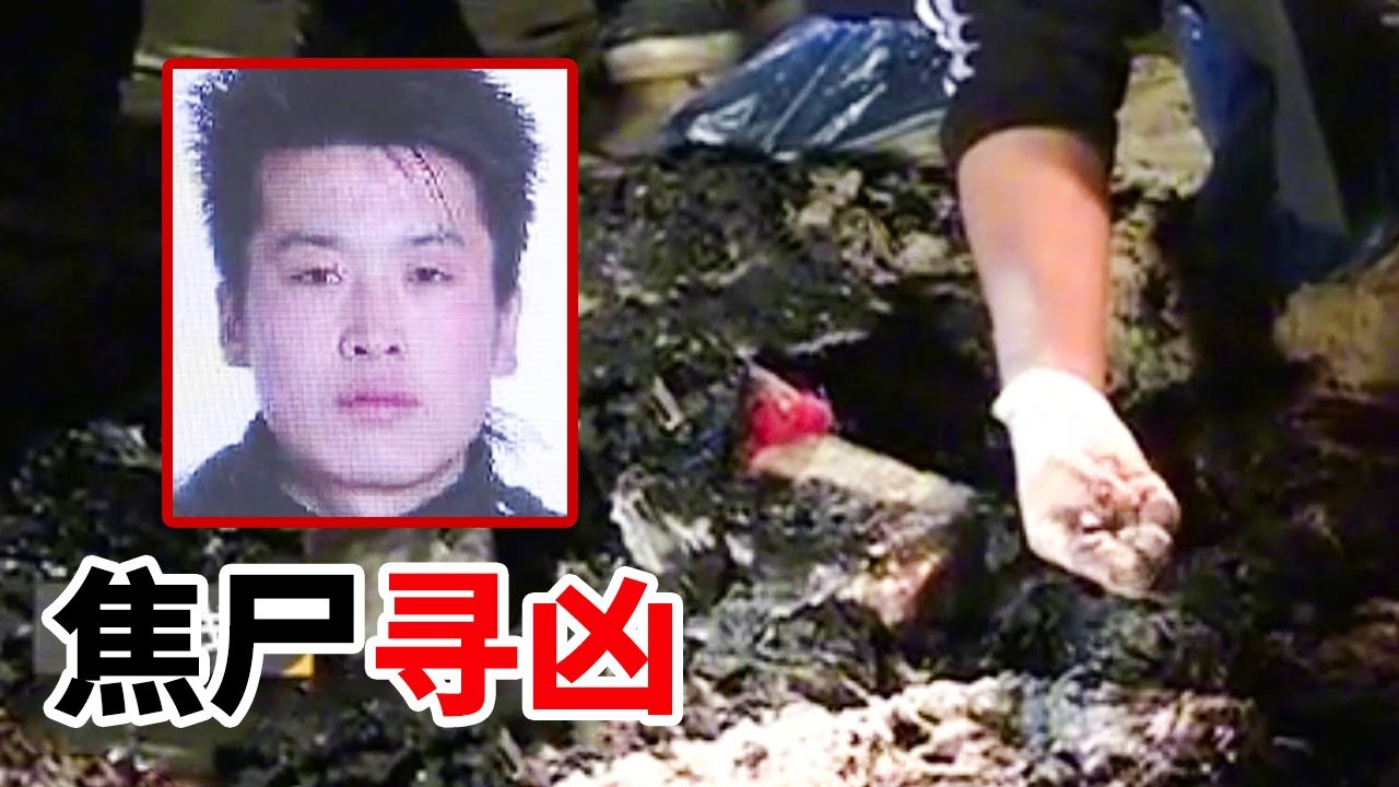 废弃工地的焦尸 窒息而亡的真相 一颗蝇卵锁定真凶！【重大案件】