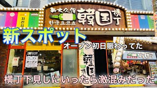 【新大久保グルメ】NEWスポット！新大久保横丁！オープン初日！激混み！ただ横丁を見てきた動画です。オープン