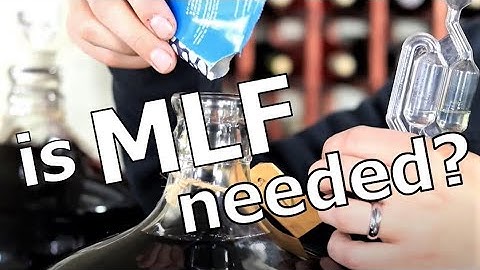 What is Malolactic Fermentation?