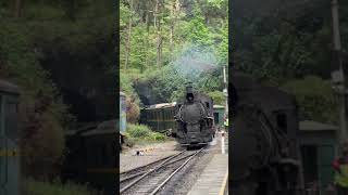 The world&#39;s only operating narrow-gauge steam train!全世界唯一在轨运行的窄轨蒸汽火车！