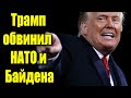 Трамп обвинил  НАТО и Байдена