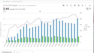 SaaS Reporting Automation & CAC Optimization Example