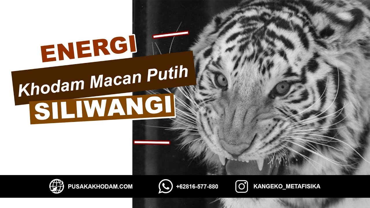 Слова макан май. Macan дискография. Macan Помни. Macan обложка. Macan 12 обложка.