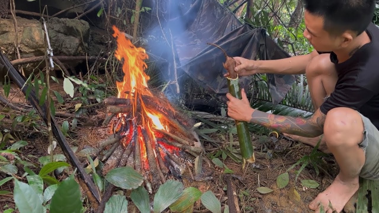 24 Hour Survival Challenge in the Jungle | Shelter, Traps & Wild ...