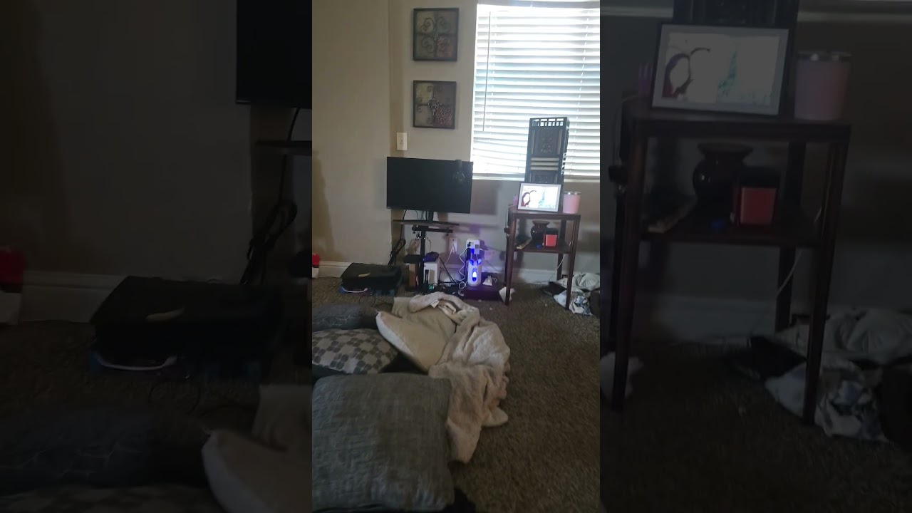 August 11, 2026 - YouTube