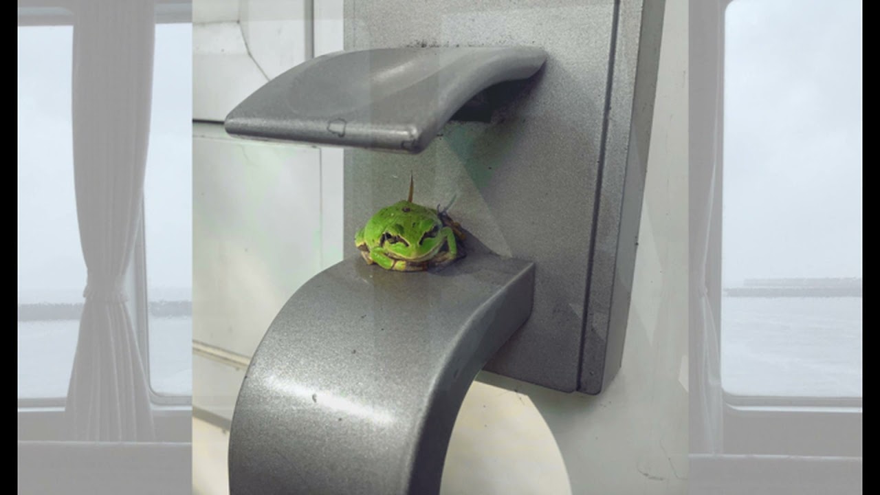 Jim O'Rourke Steamroom 56 full album (2021) YouTube