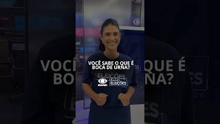 Você sabe o que é boca de urna?