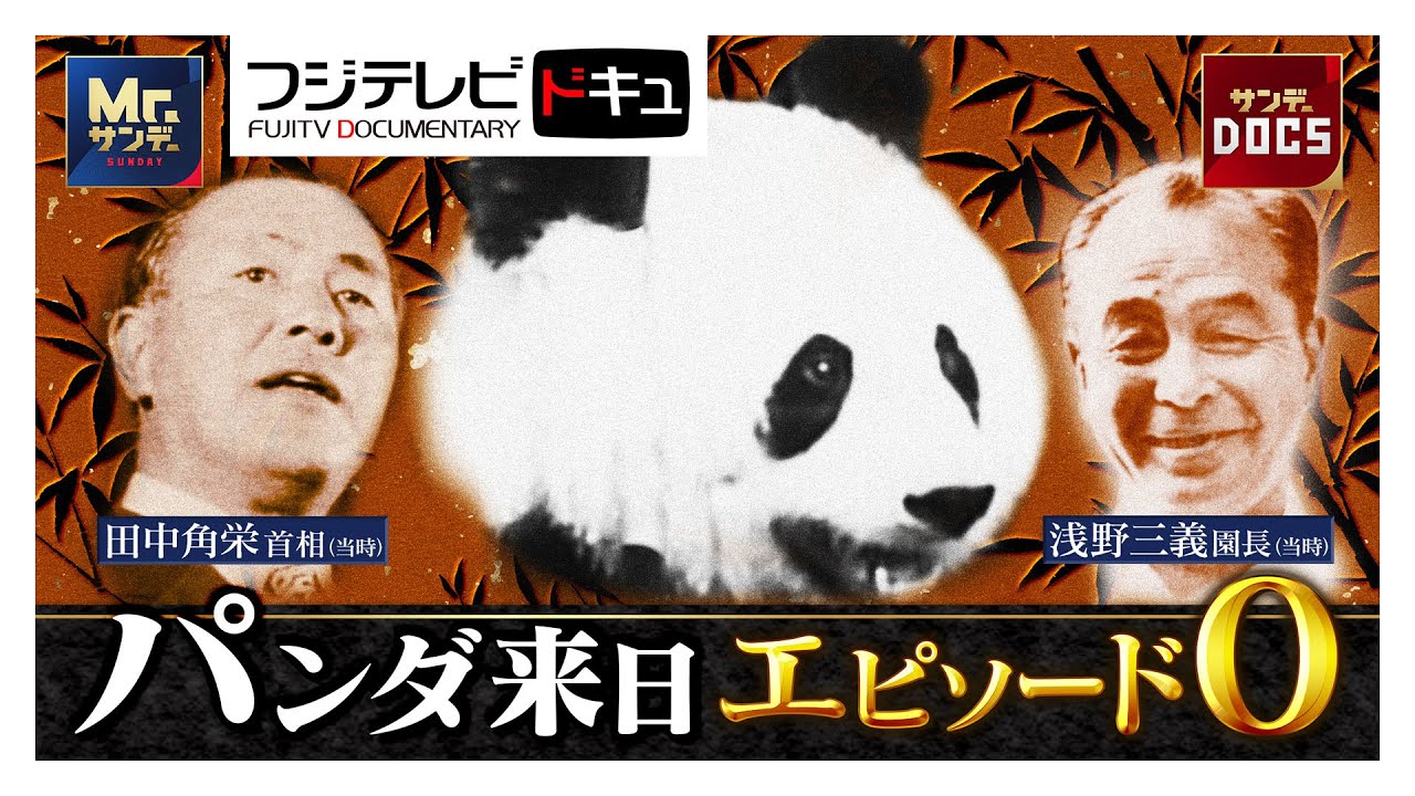 パンダ初来日エピソード0 上野動物園園長の夢と日中国交正常化が