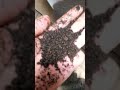 Granulation Plant | Lowest Cost - Organic Fertilizer Granulating Production Line|Fertilizer Machines