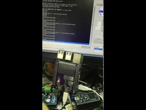 RasPi　新アイテム　デバッグ