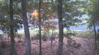 20101025-4200AmericanDawn.avi