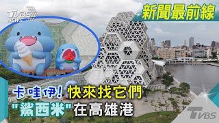 卡哇伊! 快來找它們 「鯊西米」在高雄港|TVBS新聞@TVBSNEWS02
