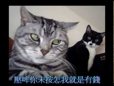 傷心∞雨滴∞圖片◇面子問題
