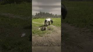 He hates animal abuse 😂- RDR2 #shorts #rdr2 #gaming