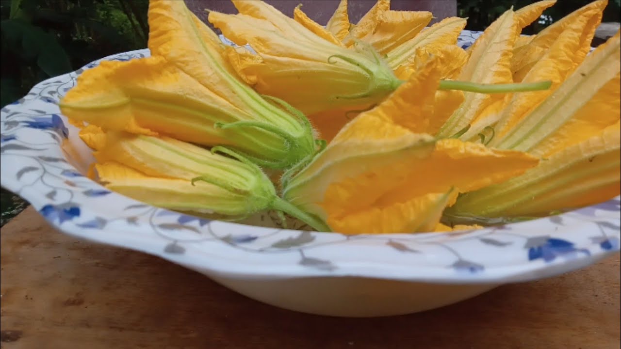 Pumpkin blossoms pakora YouTube