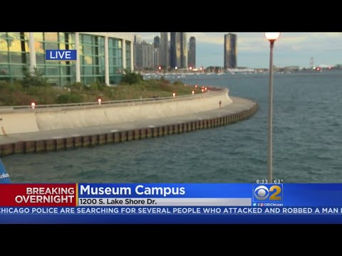 robbery-victim-thrown-in-lake-michigan-near-shedd-aquarium