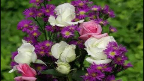 100 سورة العاديات برواية حفص عن عاصم2